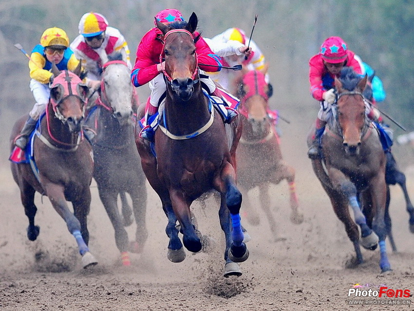 ****忙绿的周末,转场拍摄 ----2012年北京马协春季速度赛*****