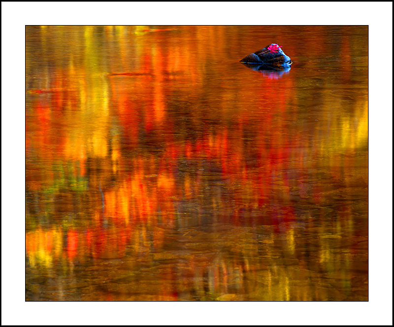 秋韵！&nbsp;&nbsp;