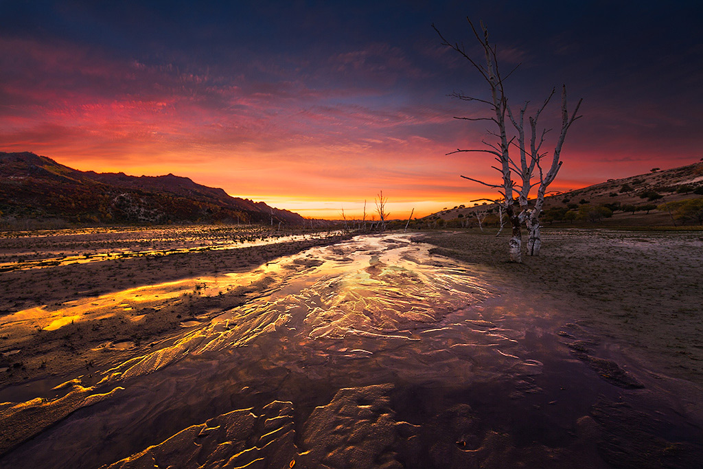 万类霜天竞自由——秋坝记忆