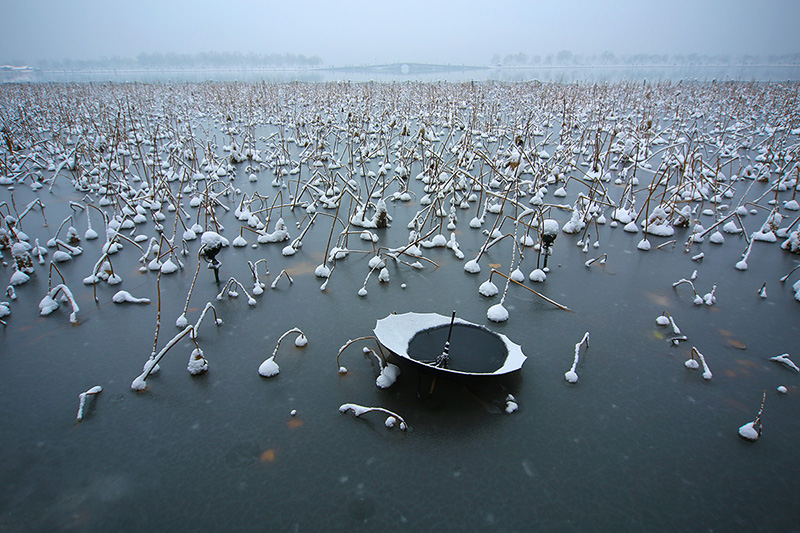 EOS5DMarkIII解放俱乐部&nbsp; &nbsp;&nbsp; &nbsp;&nbsp; &nbsp;&nbsp; &nbsp;&nbsp; &nbsp;&nbsp; &nbsp;&nbsp; &nbsp;&nbsp; &nbsp;&nbsp; &nbsp;&nbsp;&nbsp;