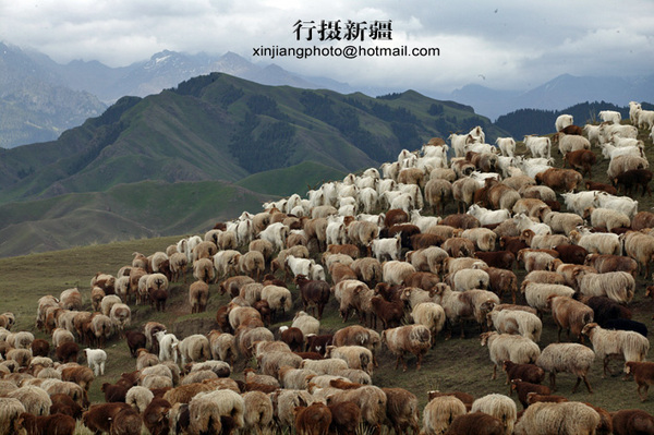 大美新疆，心灵之旅！&nbsp;&nbsp;