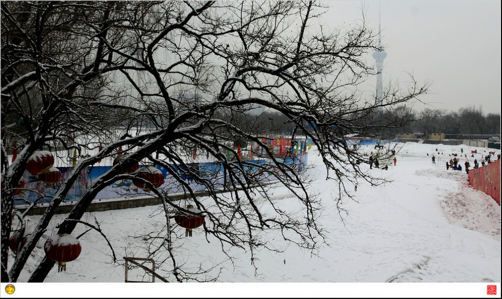 禧雪飘舞蛇年春