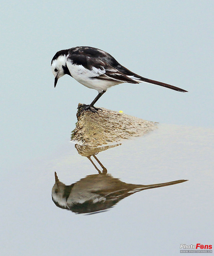 照一照&nbsp;&nbsp;