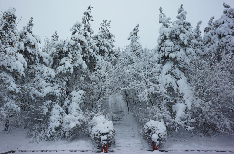 雪 野 里 行 走 】 - 其迹的博客 - PhotoFans摄影网