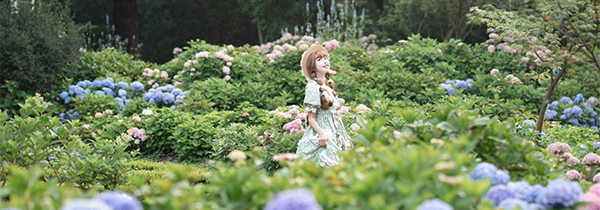 洛丽塔少女和莫奈花园 II