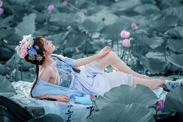 荷花古风美女人像 II