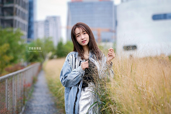 东北小可爱 II
