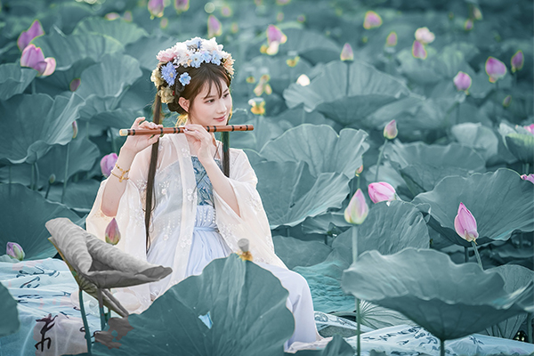 荷花古风美女人像 III